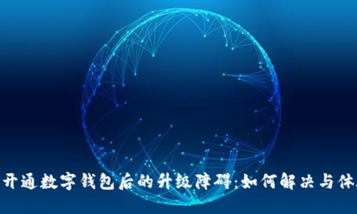 : 開(kāi)通數字錢(qián)包后的升級障礙:如何解決與體驗