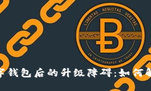 : 開(kāi)通數字錢(qián)包后的升級障礙:如何解決與體驗
