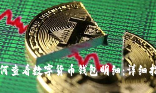 如何查看數字貨幣錢(qián)包明細:詳細指南