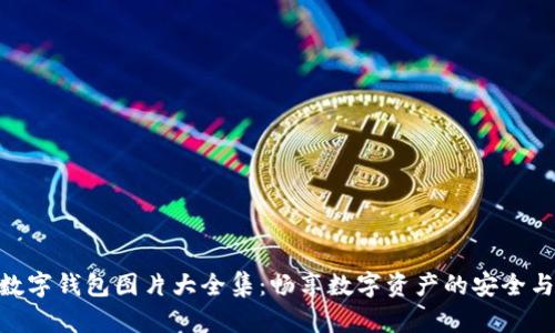狐貍數字錢(qián)包圖片大全集:暢享數字資產(chǎn)的安全與便捷