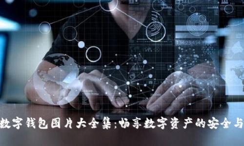 狐貍數字錢(qián)包圖片大全集:暢享數字資產(chǎn)的安全與便捷