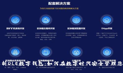 全面解析DLE數字錢(qián)包:如何在數字時(shí)代安全管理您的資產(chǎn)