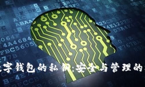 : 數字錢(qián)包的私鑰:安全與管理的核心