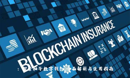 : 探索柚子數字錢(qián)包:全面解析與使用指南
