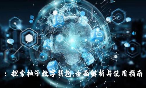 : 探索柚子數字錢(qián)包:全面解析與使用指南