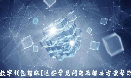 
沒(méi)有收到數字錢(qián)包轉賬？這些常見(jiàn)問(wèn)題及解決方案幫你找回資金