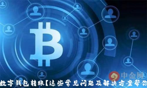 
沒(méi)有收到數字錢(qián)包轉賬？這些常見(jiàn)問(wèn)題及解決方案幫你找回資金