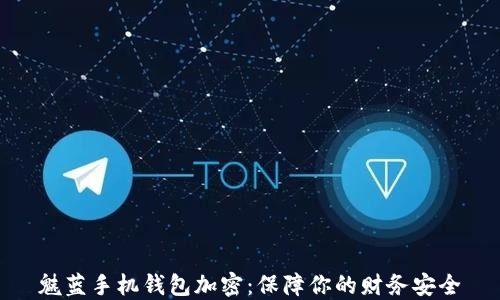 魅藍手機錢(qián)包加密:保障你的財務(wù)安全