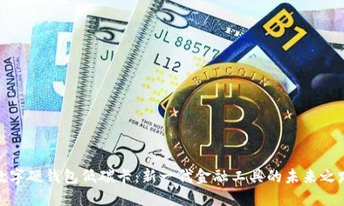 數字硬錢(qián)包低碳卡:新一代金融工具的未來(lái)之路