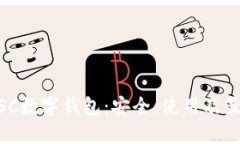 了解BSC數字錢(qián)包：安全、
