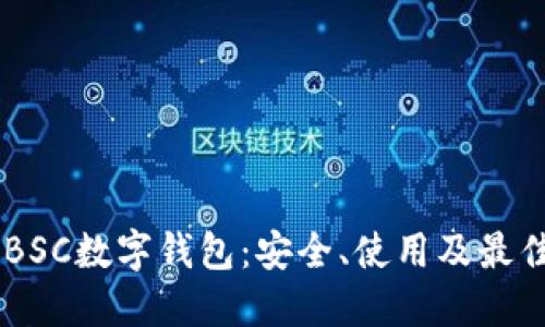 了解BSC數字錢(qián)包：安全、使用及最佳實(shí)踐