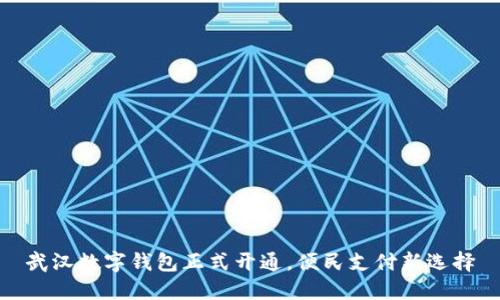 武漢數字錢(qián)包正式開(kāi)通，便民支付新選擇