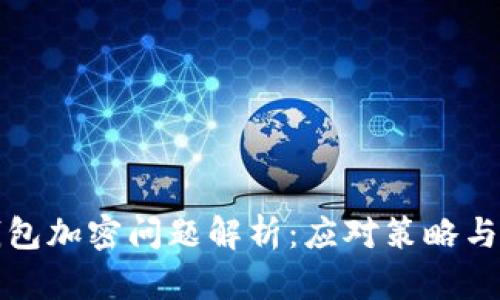 狗狗幣錢(qián)包加密問(wèn)題解析:應對策略與解決方案