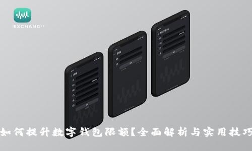 如何提升數字錢(qián)包限額？全面解析與實(shí)用技巧
