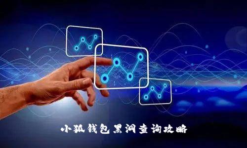 小狐錢(qián)包黑洞查詢(xún)攻略
