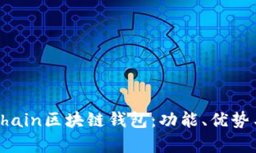 全面解析Chain區塊鏈錢(qián)包：功能、優(yōu)勢與應用場(chǎng)景