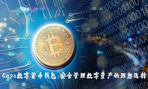 Capo數字貨幣錢(qián)包:安全管理數字資產(chǎn)的理想選擇