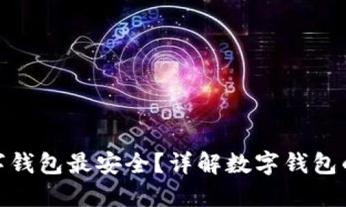 哪種數字錢(qián)包最安全？詳解數字錢(qián)包的安全性