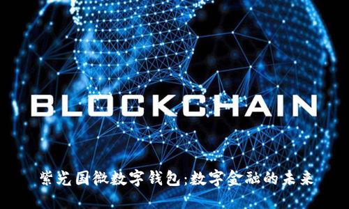 紫光國微數字錢(qián)包:數字金融的未來(lái)