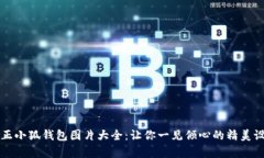 真正小狐錢(qián)包圖片大全：