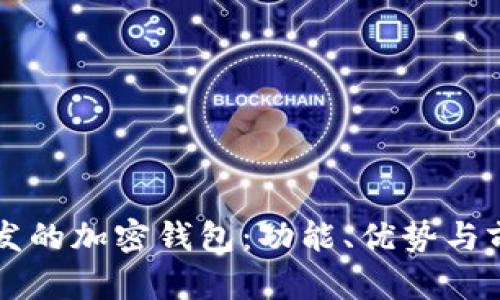 國內開(kāi)發(fā)的加密錢(qián)包：功能、優(yōu)勢與前景分析