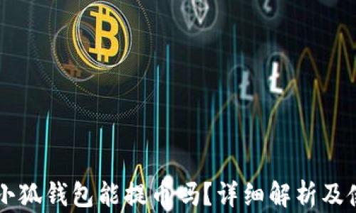 
中本聰小狐錢(qián)包能提幣嗎？詳細解析及使用指南