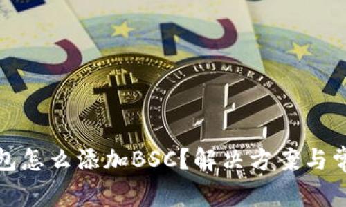 小狐錢(qián)包怎么添加BSC？解決方案與常見(jiàn)問(wèn)題
