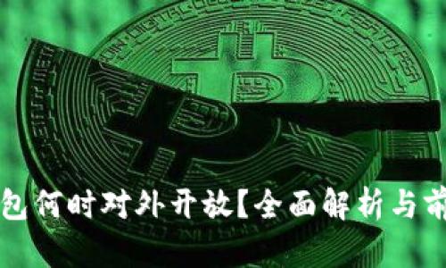 數字錢(qián)包何時(shí)對外開(kāi)放？全面解析與前景展望