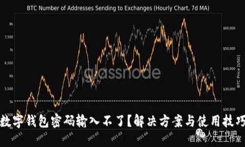 數字錢(qián)包密碼輸入不了？解決方案與使用技巧