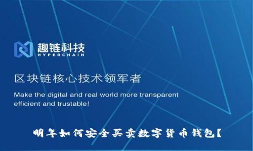 明年如何安全買(mǎi)賣(mài)數字貨幣錢(qián)包？