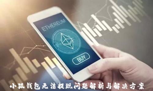 小狐錢(qián)包無(wú)法提現問(wèn)題解析與解決方案