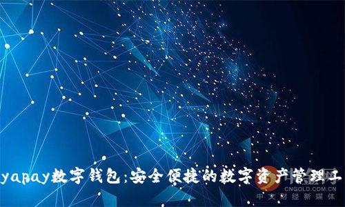 biyapay數字錢(qián)包:安全便捷的數字資產(chǎn)管理工具