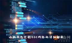 小狐錢(qián)包支持BSC網(wǎng)絡(luò )的詳
