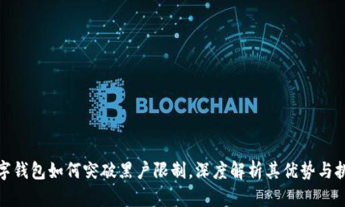 數字錢(qián)包如何突破黑戶(hù)限制，深度解析其優(yōu)勢與挑戰