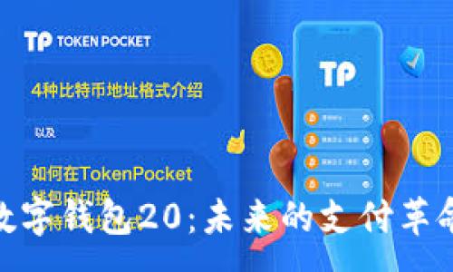 :
數字錢(qián)包20:未來(lái)的支付革命