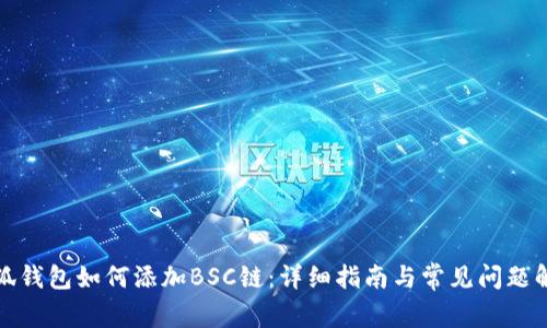 小狐錢(qián)包如何添加BSC鏈:詳細指南與常見(jiàn)問(wèn)題解答