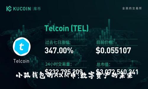 小狐錢(qián)包的AXM幣:數字資產(chǎn)的未來(lái)