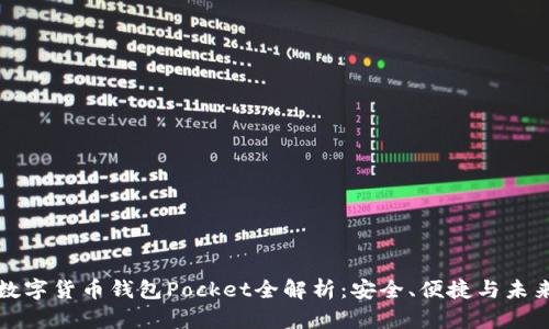 數字貨幣錢(qián)包Pocket全解析：安全、便捷與未來(lái)