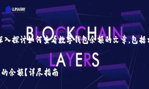 提示：這是一篇旨在深入探討如何查看數字錢(qián)包余額的文章，包括相關(guān)問(wèn)題和詳細解答。


如何查看數字錢(qián)包里的余額？詳盡指南