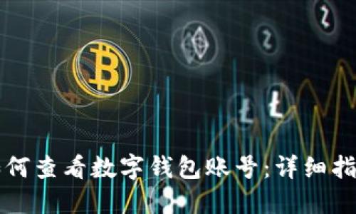 如何查看數字錢(qián)包賬號:詳細指南