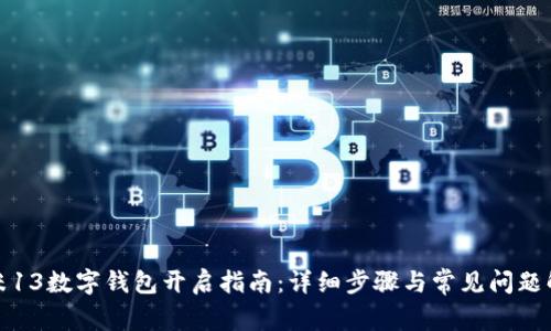 小米13數字錢(qián)包開(kāi)啟指南:詳細步驟與常見(jiàn)問(wèn)題解答