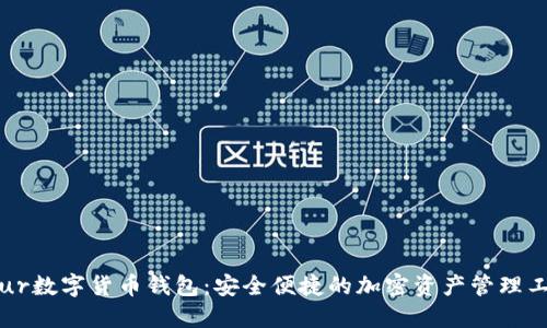 Blur數字貨幣錢(qián)包:安全便捷的加密資產(chǎn)管理工具