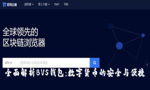 全面解析BVS錢(qián)包:數字貨幣的安全與便捷