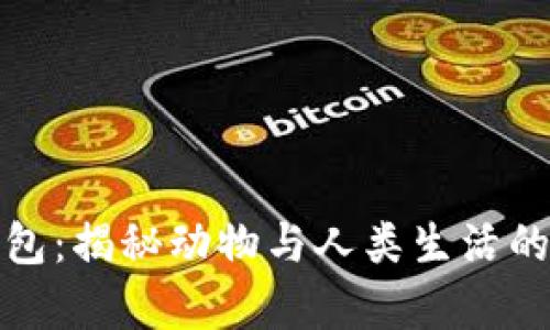 狐貍偷錢(qián)包:揭秘動(dòng)物與人類(lèi)生活的奇妙互動(dòng)