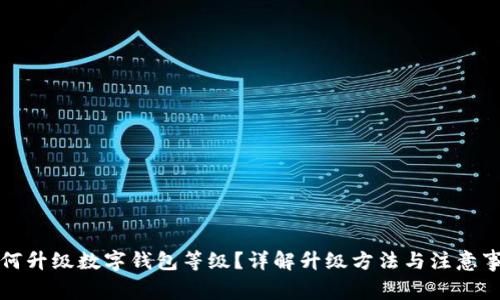 如何升級數字錢(qián)包等級？詳解升級方法與注意事項