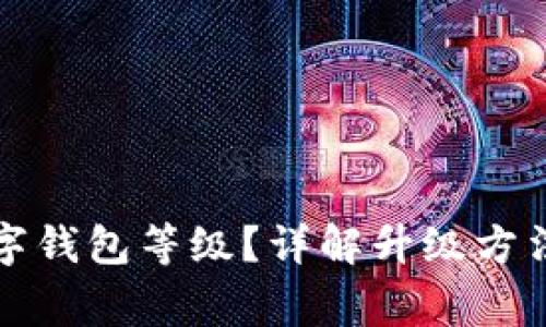 如何升級數字錢(qián)包等級？詳解升級方法與注意事項
