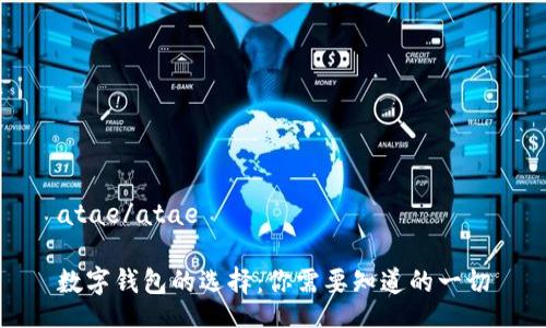 atae/atae
數字錢(qián)包的選擇:你需要知道的一切