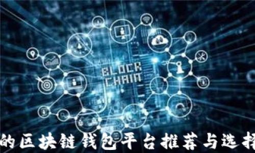 好用的區塊鏈錢(qián)包平臺推薦與選擇指南