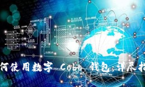 如何使用數字 Cobo 錢(qián)包:詳盡指南