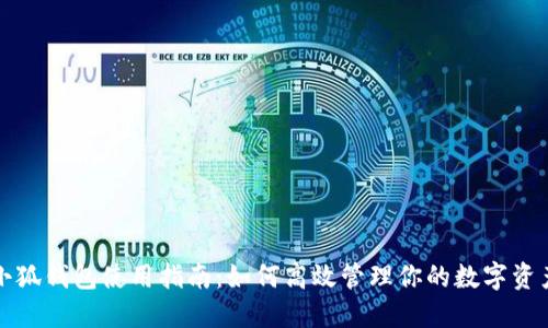 小狐錢(qián)包使用指南:如何高效管理你的數字資產(chǎn)